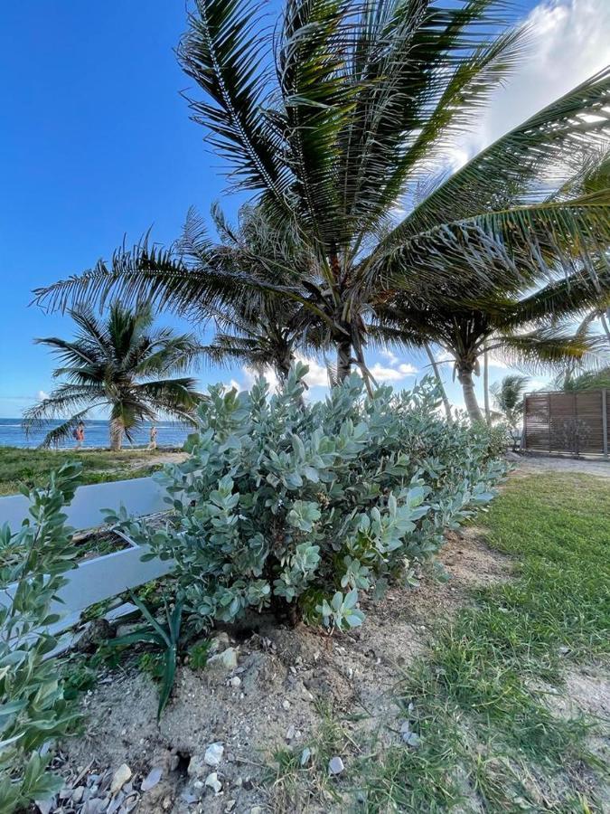 Appartement La Perle, T2 Les Pieds Dans L'Eau A 50M De La Mer Saint-Francois  Exterior foto